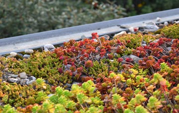 the cost of Larne green roof installation