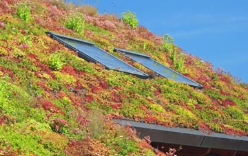 Larne living roof systems